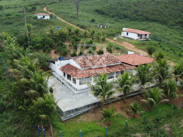 #188 - Fazenda para Venda em Pedra Azul - MG - 2