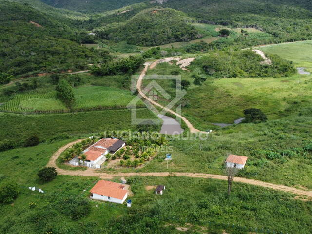 #188 - Fazenda para Venda em Pedra Azul - MG - 1