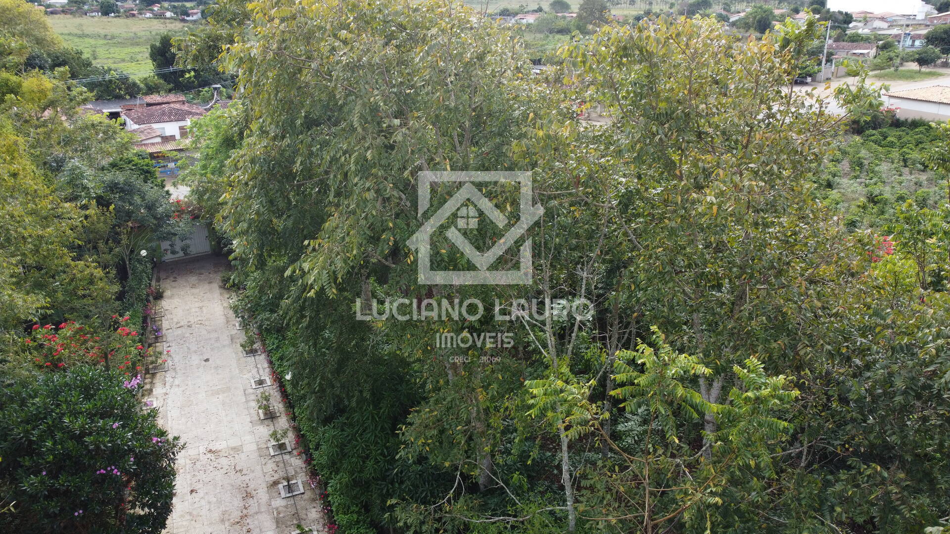 Sítio à venda com 4 quartos, 280m² - Foto 7