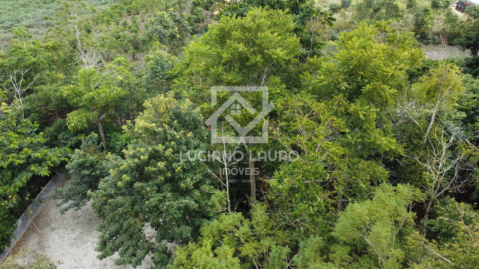Sítio à venda com 4 quartos, 280m² - Foto 27