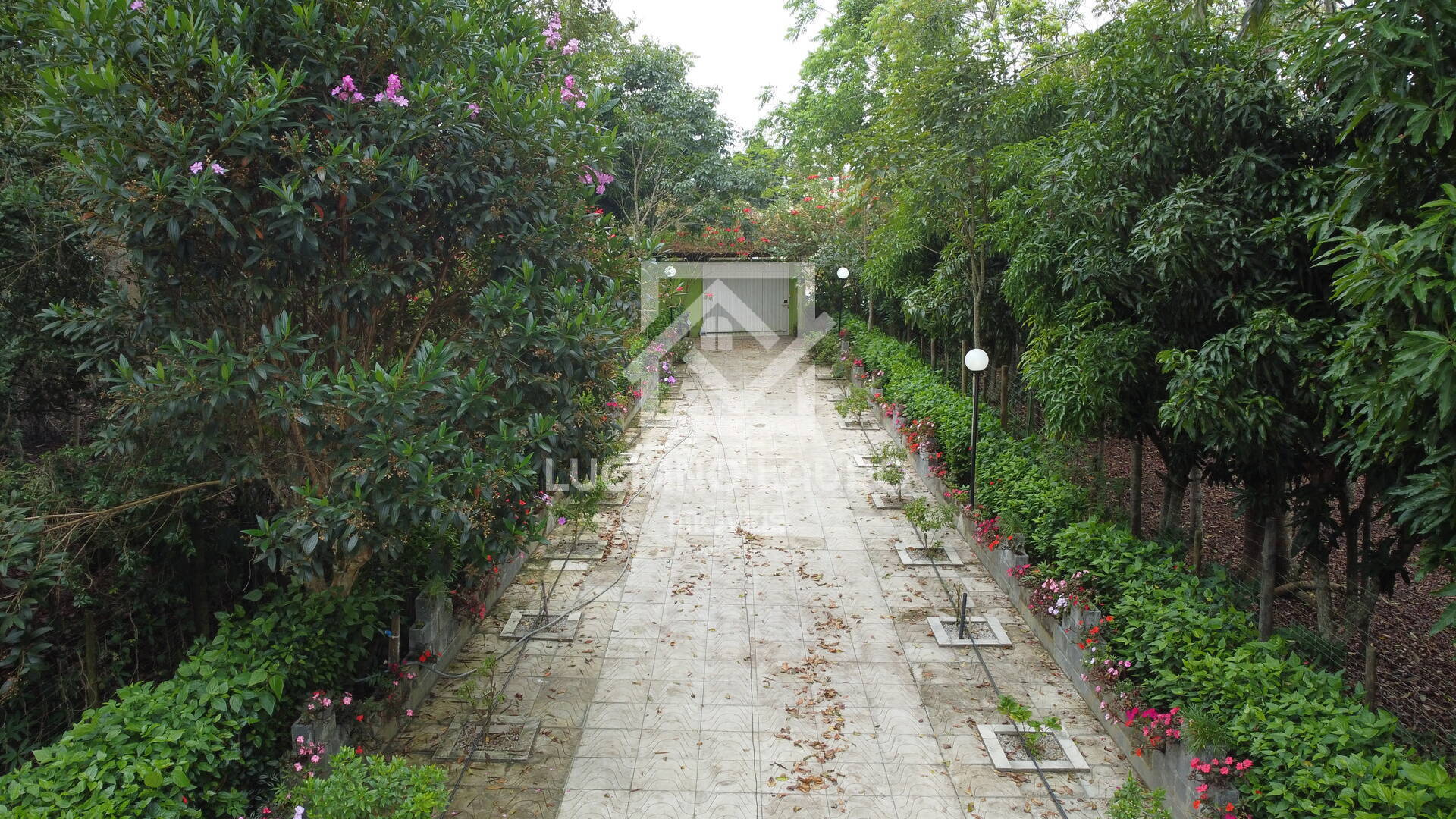 Sítio à venda com 4 quartos, 280m² - Foto 13
