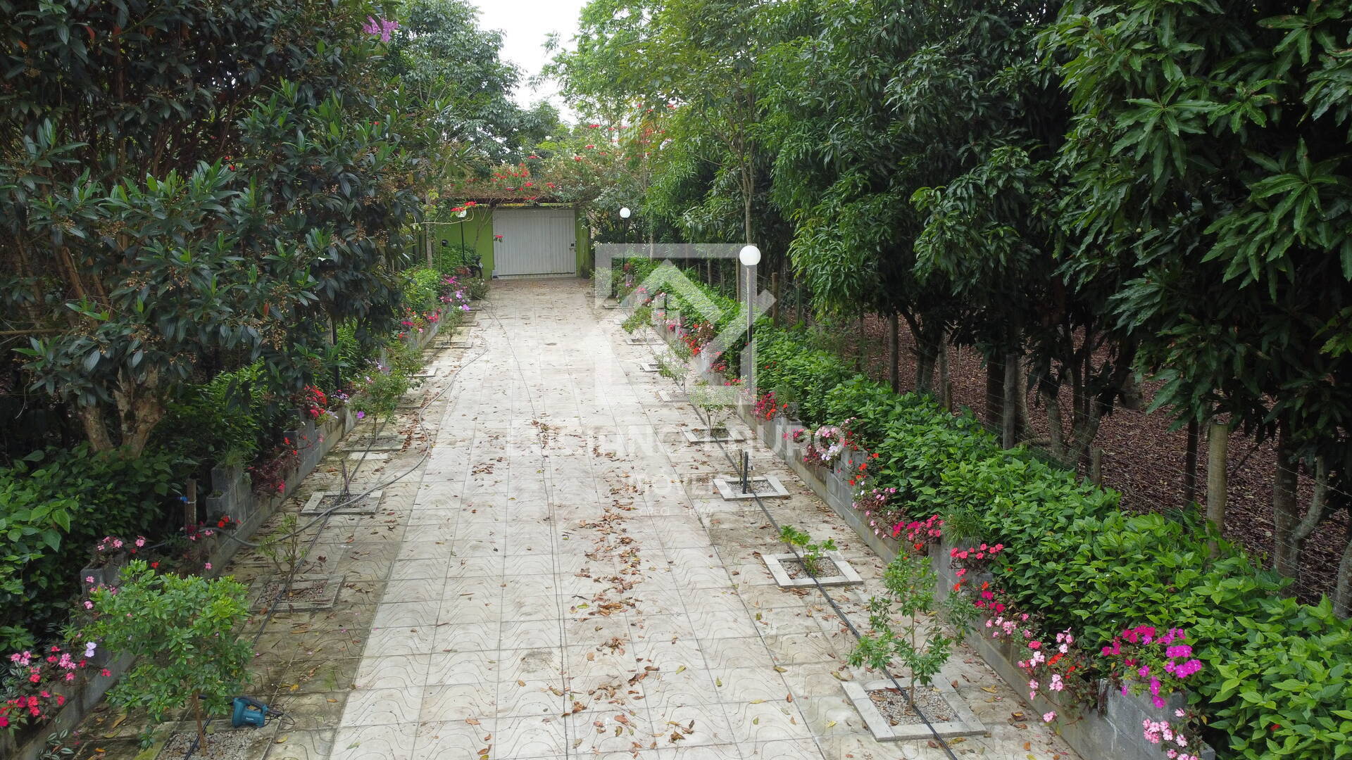 Sítio à venda com 4 quartos, 280m² - Foto 28